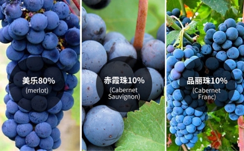 重慶比較好的賣紅酒的地方是哪-風土影響葡萄酒